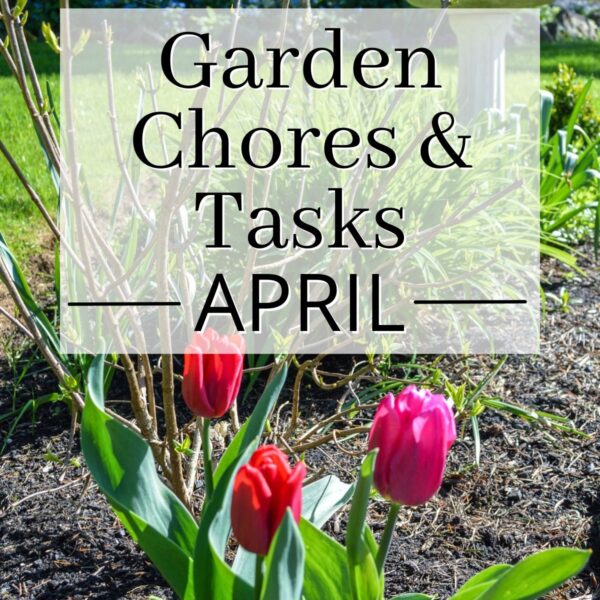 What to Plant in April in Oregon