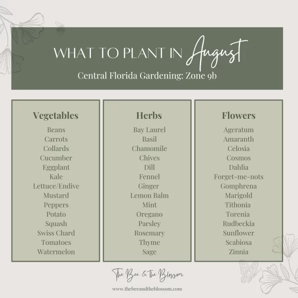 What to Plant in August Zone 9b