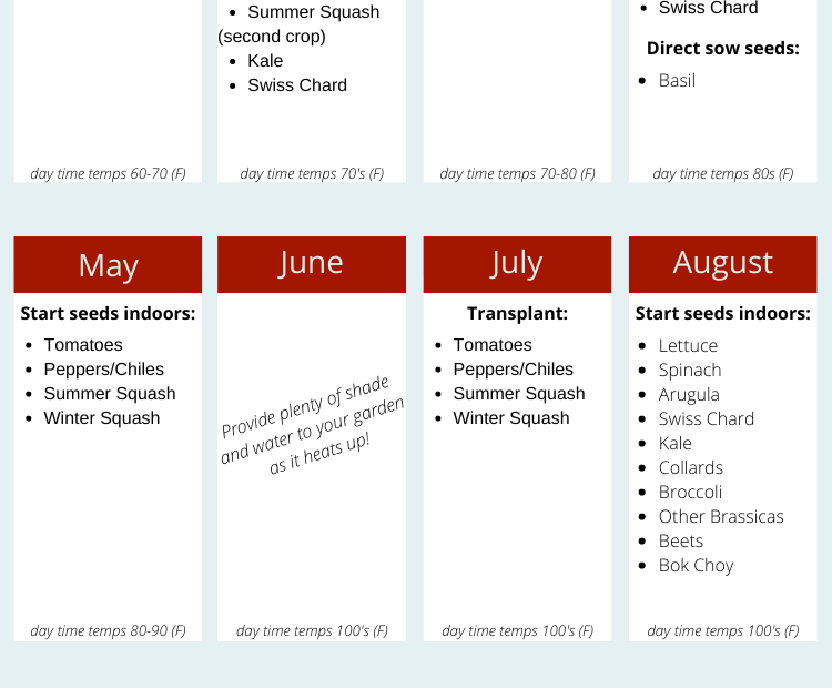 What to Plant in August Zone 9b
