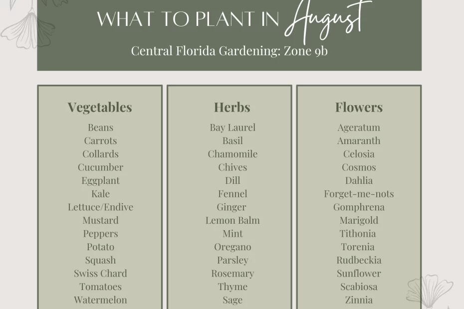 What to Plant in August Zone 9b