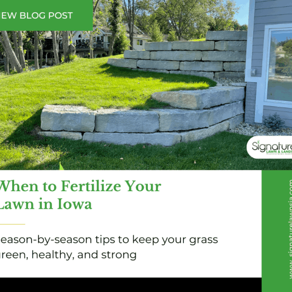 When to Fertilize Lawn in Iowa