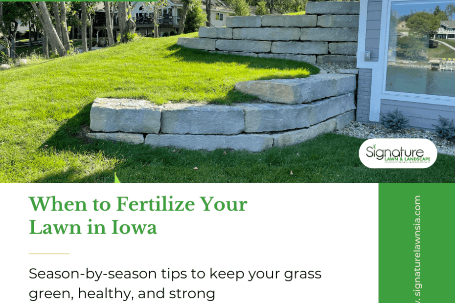 When to Fertilize Lawn in Iowa