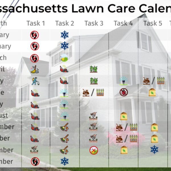 When to Overseed in Spring Massachusetts