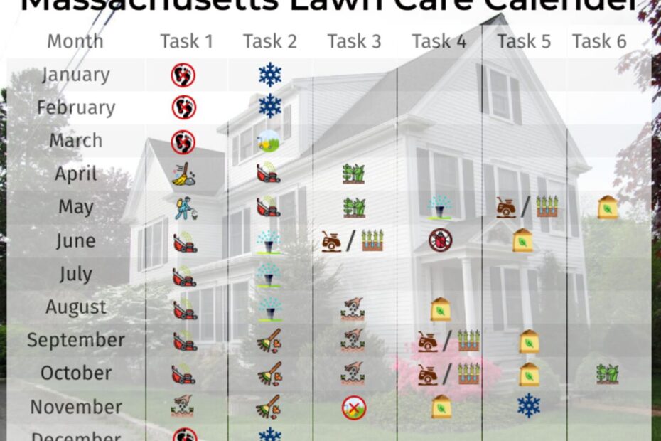 When to Overseed in Spring Massachusetts