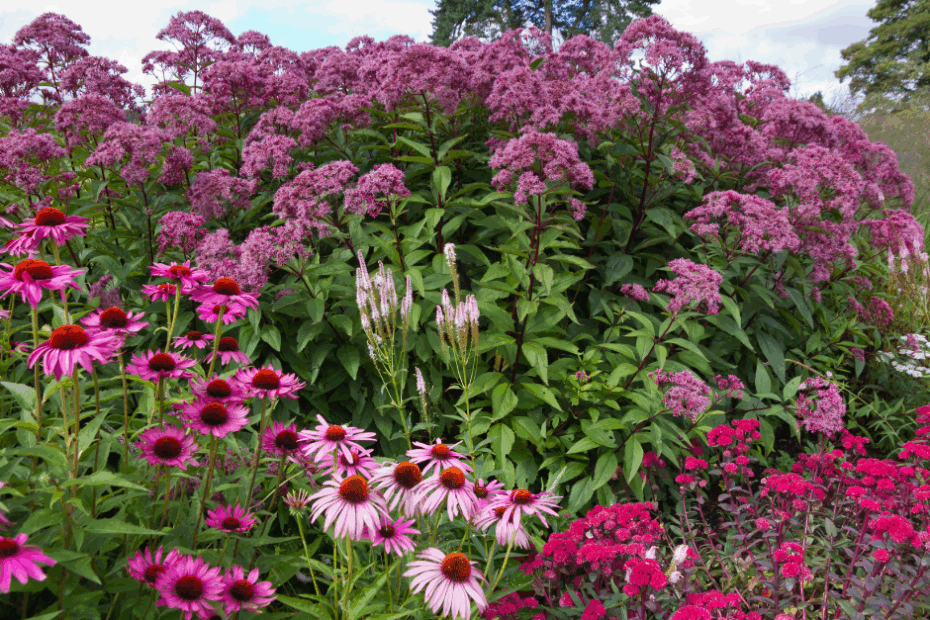 When to Plant Flowers in Indiana