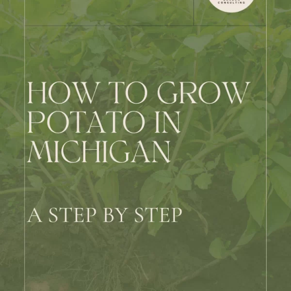 When to Plant Potatoes in Michigan