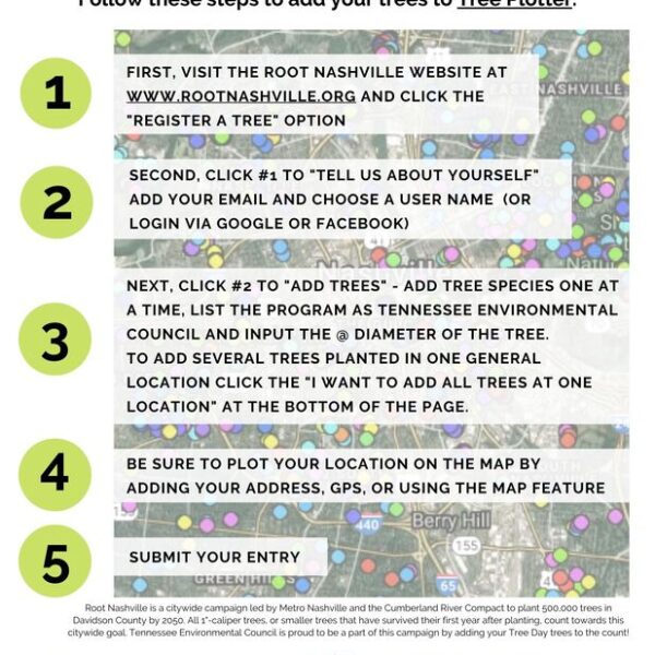 When to Plant Trees in Tennessee