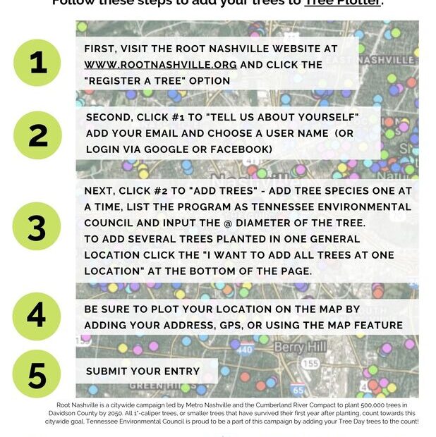 When to Plant Trees in Tennessee